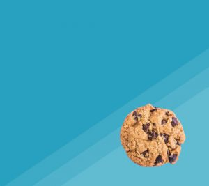 cookies policy